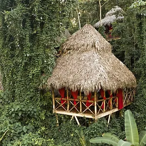 Dominican Tree House Village 2* El Valle